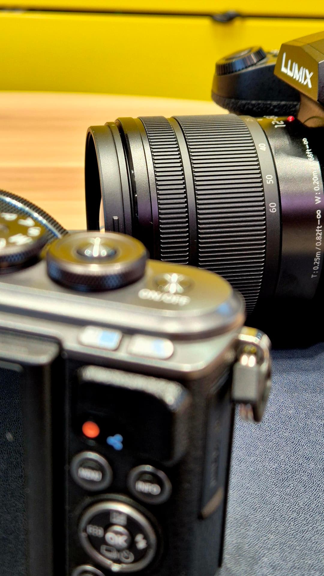 Camera in hand 24/7, chasing the perfect shot,